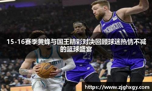 15-16赛季黄蜂与国王精彩对决回顾球迷热情不减的篮球盛宴